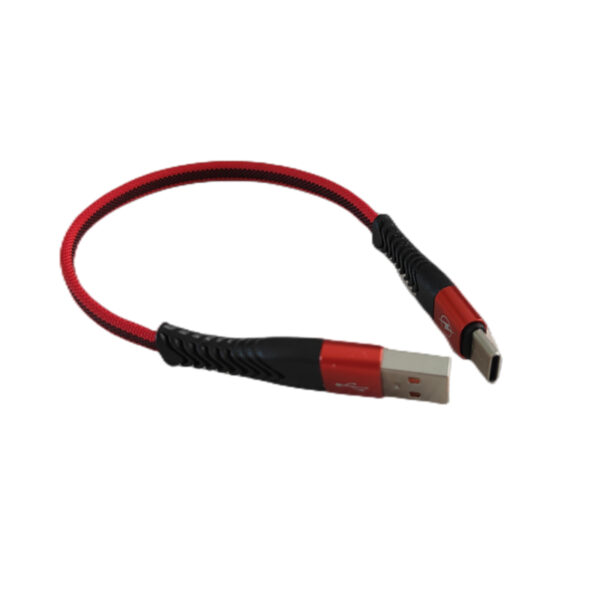 Type-C USB Cable 25cm